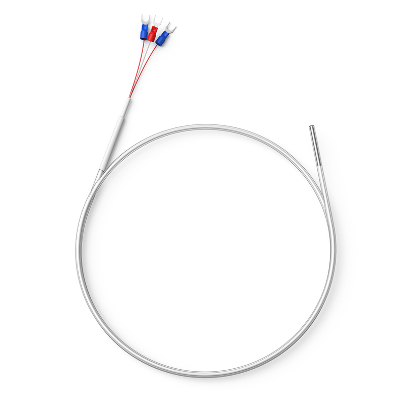 鐵氟龍熱電阻12_http://m.512sc.cn_溫度儀表_第1張